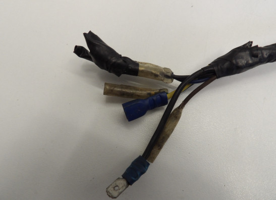 Wire Harness Yamaha V max