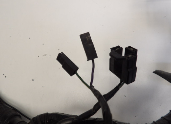 Kabelboom Triumph Trophy 900