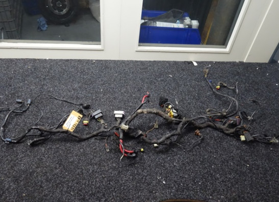 Kabelboom Benelli TNT 1130 cafe racer 2004-2016