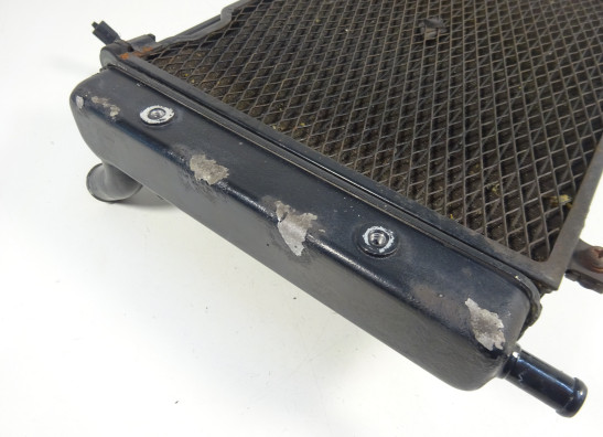 Radiator Yamaha FAZER 1000