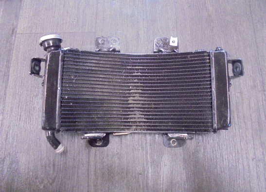 Radiateur KTM 390 Adventure 2021-2023