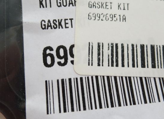 Brandstofpomp Ducati Monster 1200