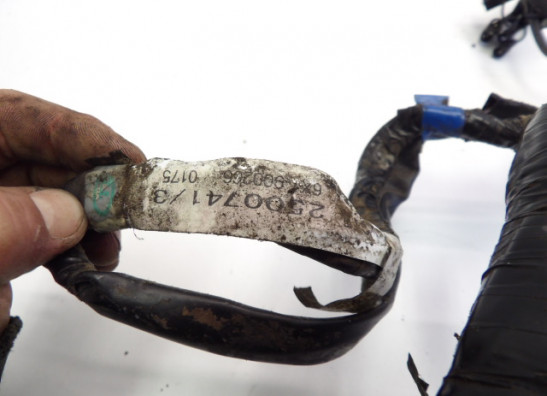 Kabelbaum Triumph Sprint RS