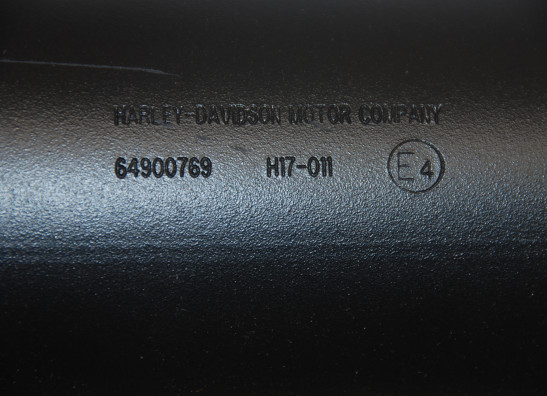 Auspuff Harley Davidson Touring FL