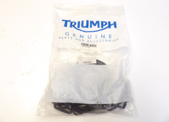 Pakking Triumph Overige Triumph