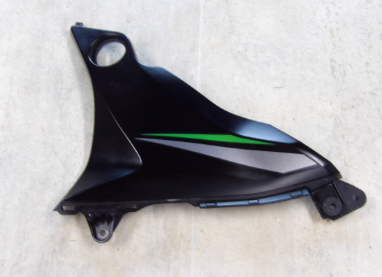 Rechter zijkuip klein Kawasaki Z 800