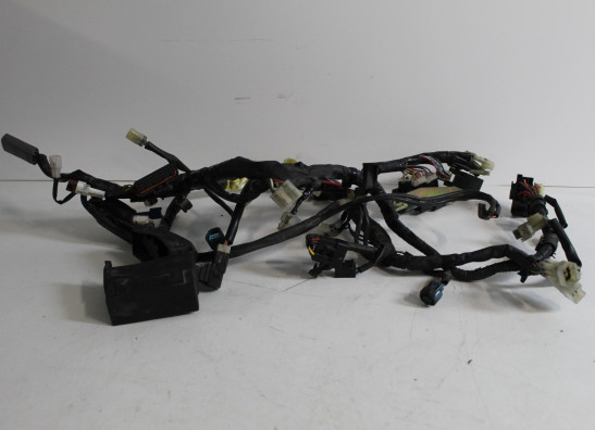 Kabelbaum Yamaha FZ6