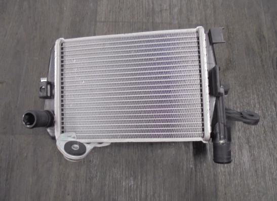 Radiateur BMW R 1200 GS LC Adventure