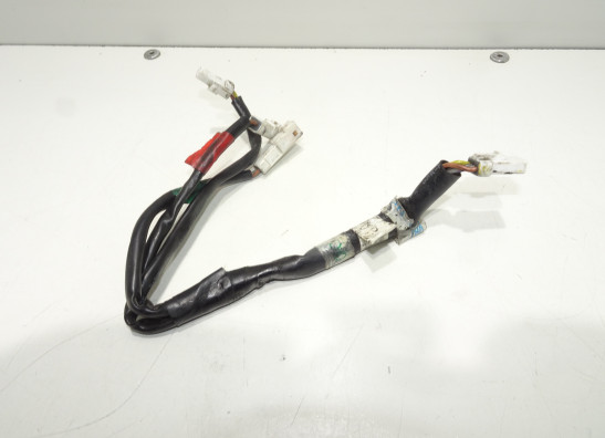 Blinker KTM 1290 Super duke