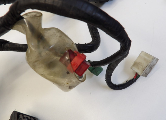 Kabelboom Honda CBF 1000