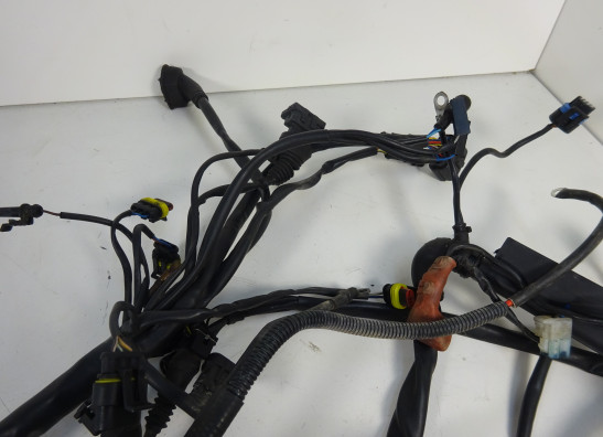 Kabelboom MV Agusta 750 Brutale