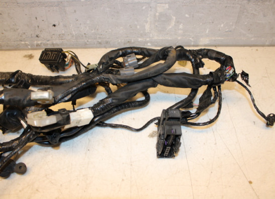 Kabelboom Kawasaki ER 6