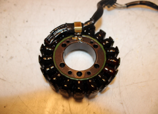 Dynamo Kawasaki ER 6