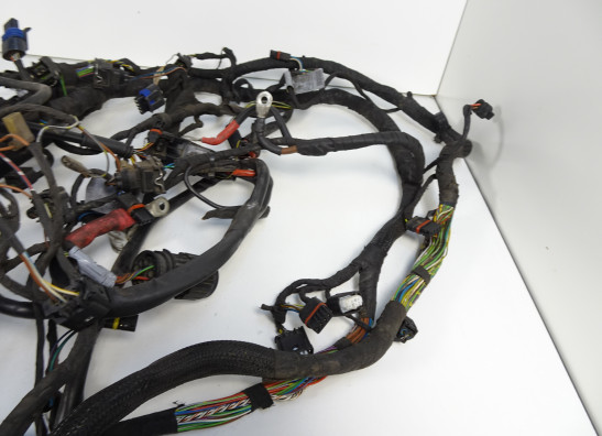 Kabelboom BMW K 1300 GT