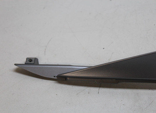 Heck links Aprilia Tuono 660