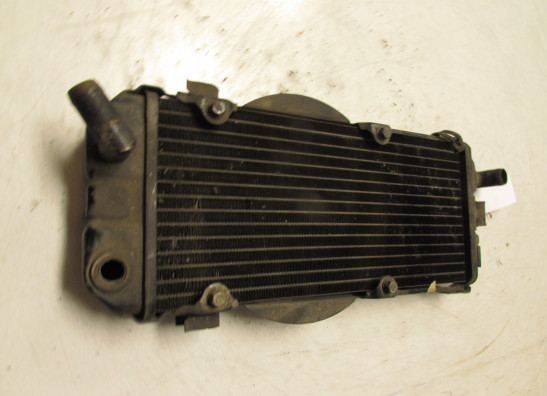 Radiator Honda VT 700 750