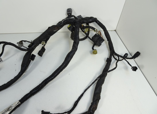 Kabelbaum Kawasaki ER 6