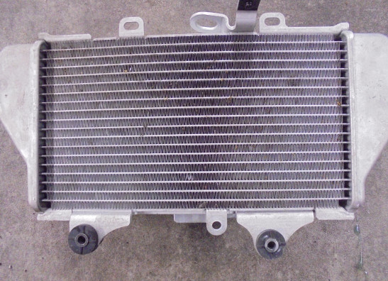 Radiateur Honda CRF 1100L Africa Twin Adventure Sports ES