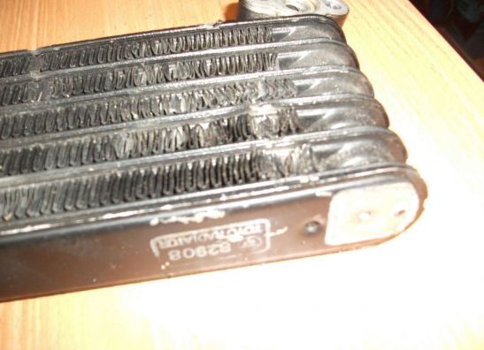 Olkuhler Honda CBR 1100 XX