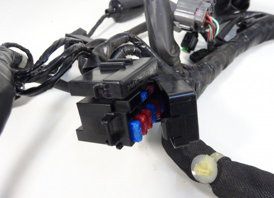 Wire Harness Kawasaki VERSYS 650