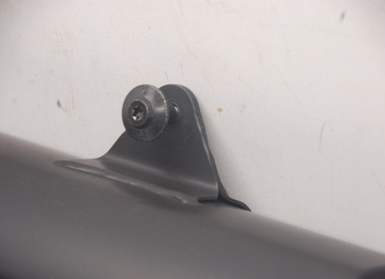 Auspuff Harley Davidson Pan America