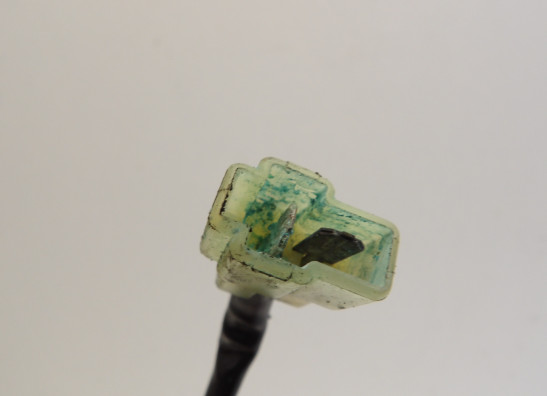 Dynamo Triumph Thunderbird 900