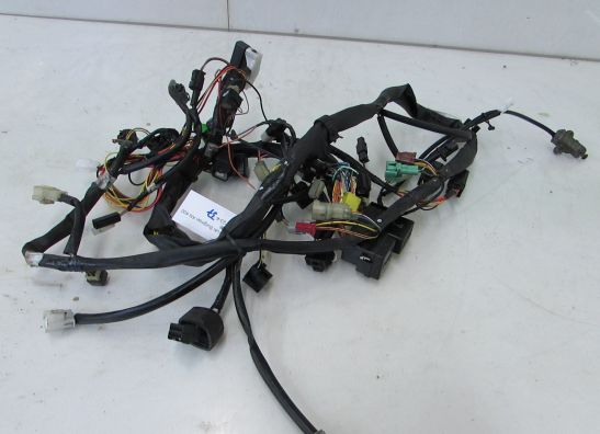 Kabelbaum Suzuki Burgman 400