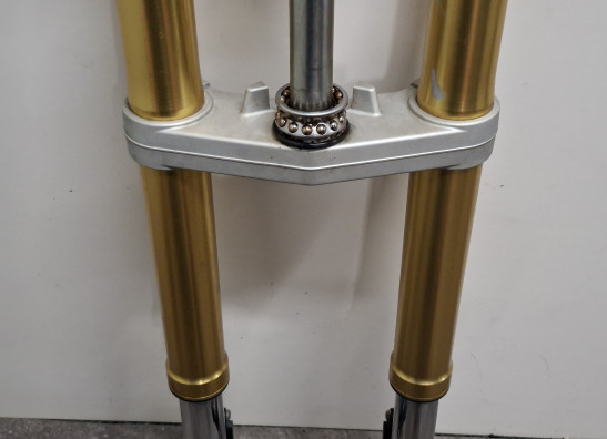 Voorpoten compleet Triumph Tiger 1050