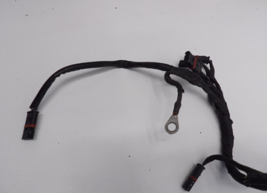 Kabelboom BMW R 1200 GS