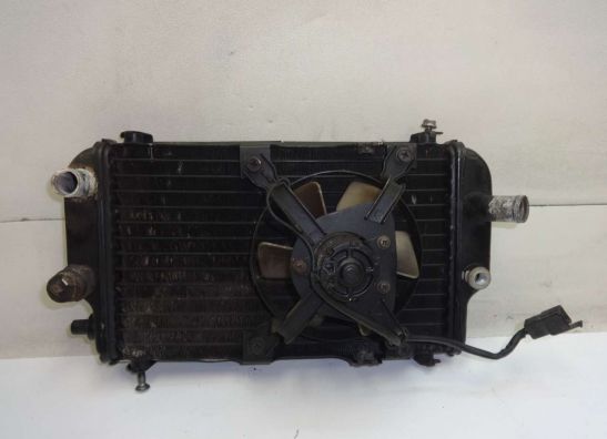 Radiateur Kawasaki EL 250
