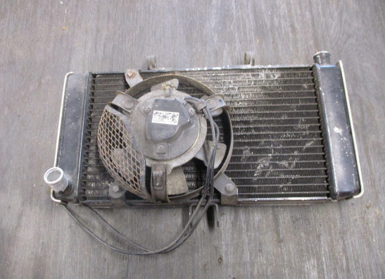 Radiator Suzuki GSF 400 Bandit