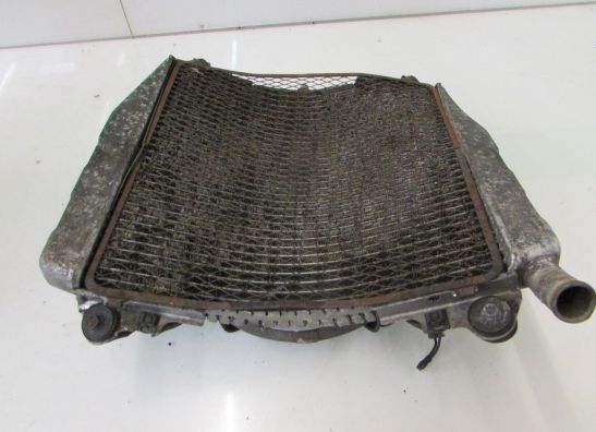 Kuhler Kawasaki ZXR 750