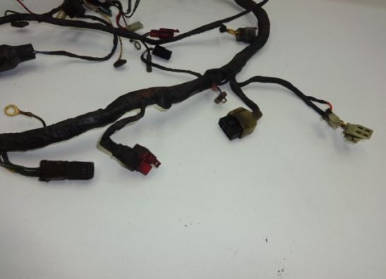 Kabelboom Kawasaki ER 5