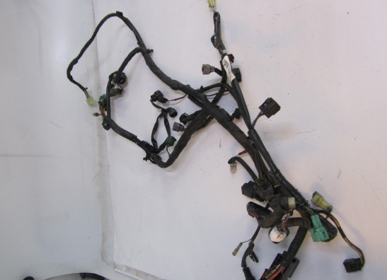 Kabelbaum Suzuki DL 650 V STROM