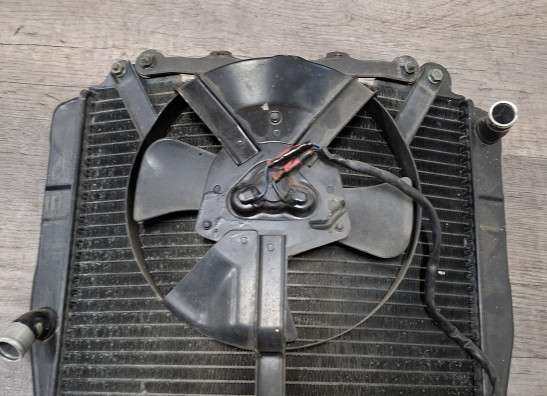 Kuhler Suzuki GSX R 750