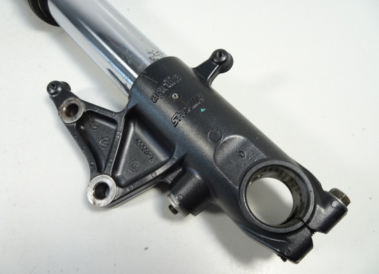Standrohr Gabelholm links komplett Aprilia RSV 1000