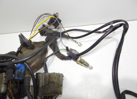 Kabelbaum BMW R 850 R