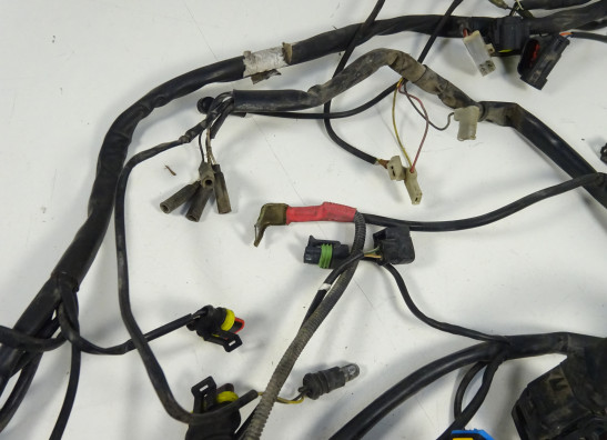 Kabelboom Ducati Monster 695