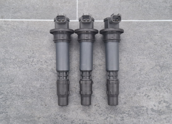 Bobine Triumph Tiger 1050