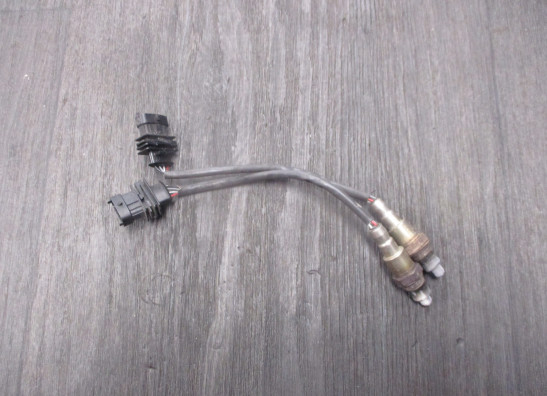 Lambda sensor Ducati Multistrada 950 2017-2020