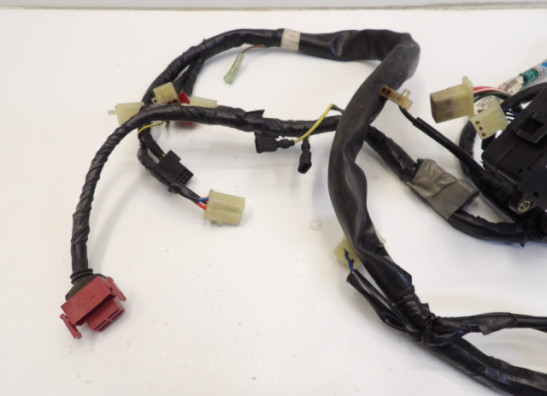 Kabelboom Honda NTV 650