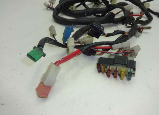 Wire Harness Yamaha XJ 900 S Diversion