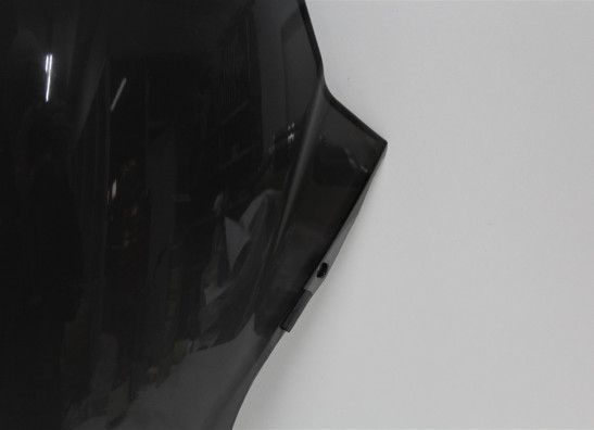 Windscherm Honda NSS300 Forza