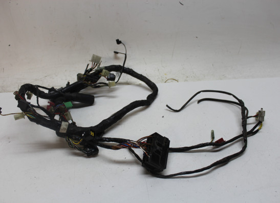 Kabelbaum Kawasaki ER 5