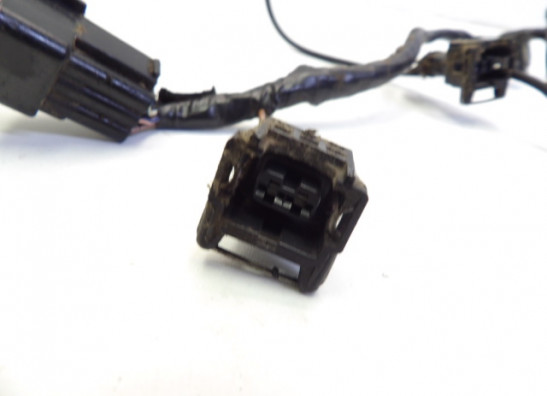 Wire harness front Triumph Sprint RS