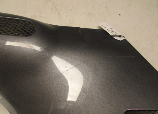 Heck links Honda CBR 1000 F