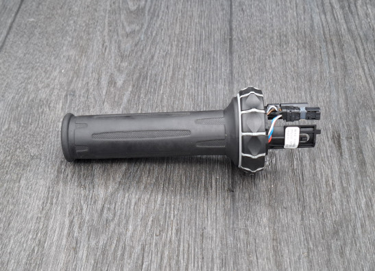 Grip BMW R 1200 GS LC