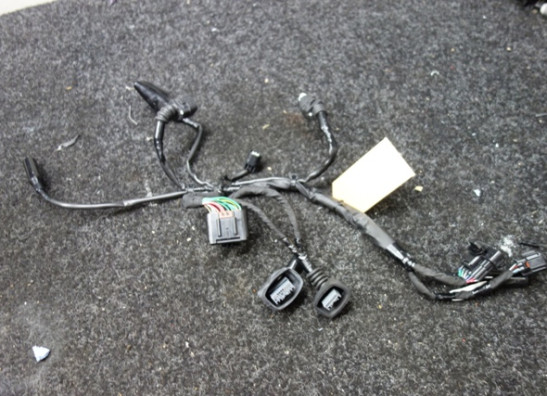 Kabelbaum vorne Honda NT 1100 DCT