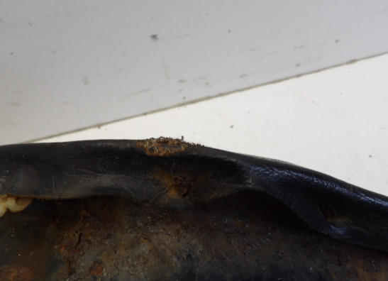 Seat Kawasaki Z 1000