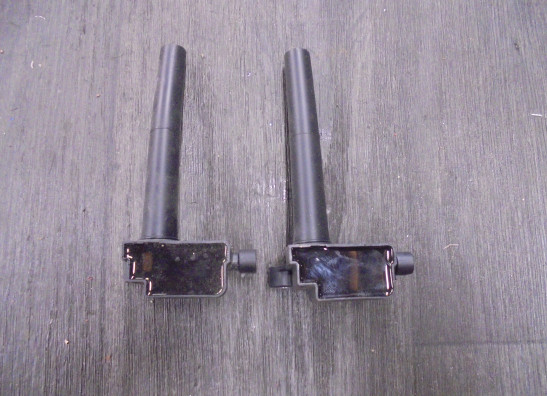 Bobine Harley Davidson Pan America